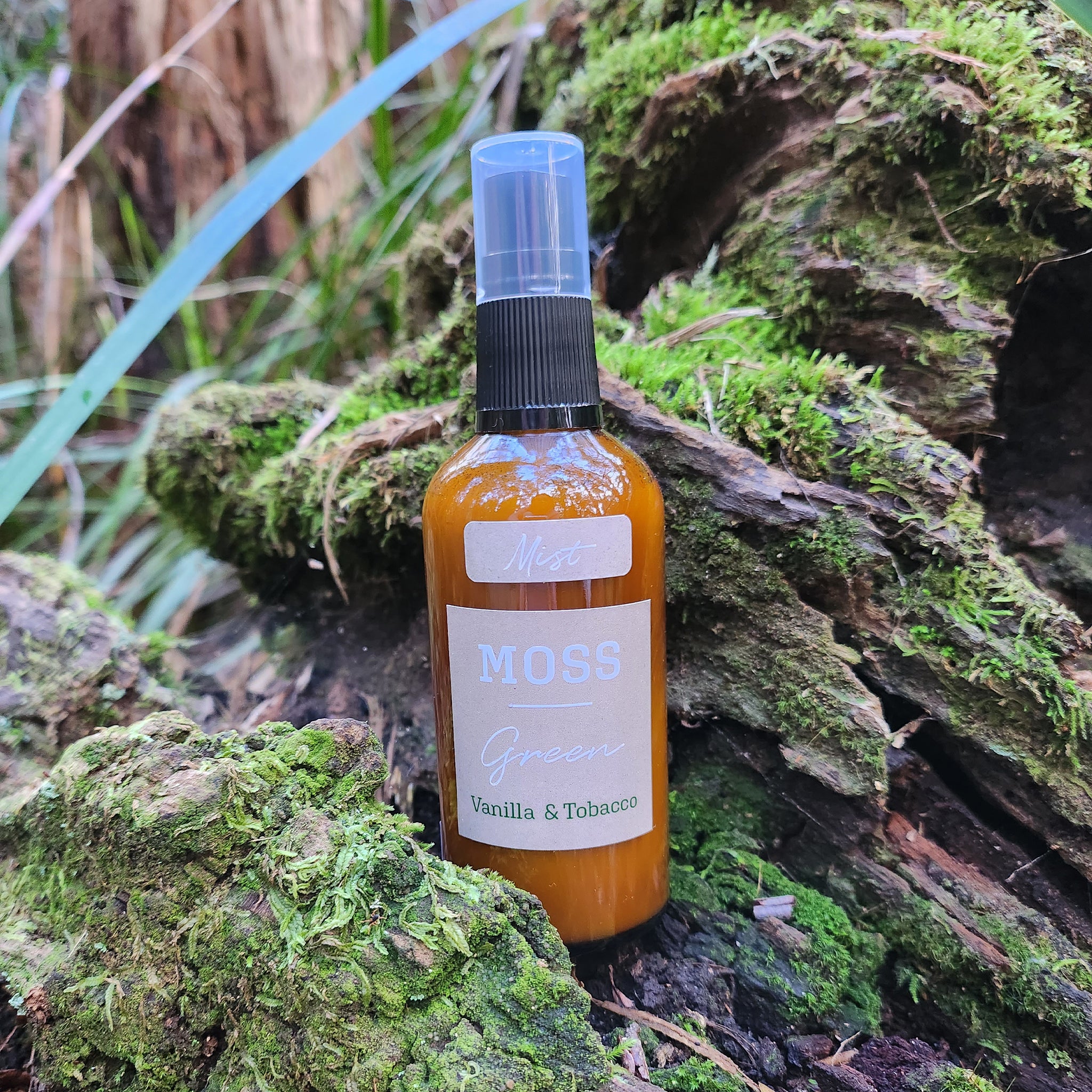 can you smoke rabbit tobacco Rabbit tobacco: what is it and how to use it?