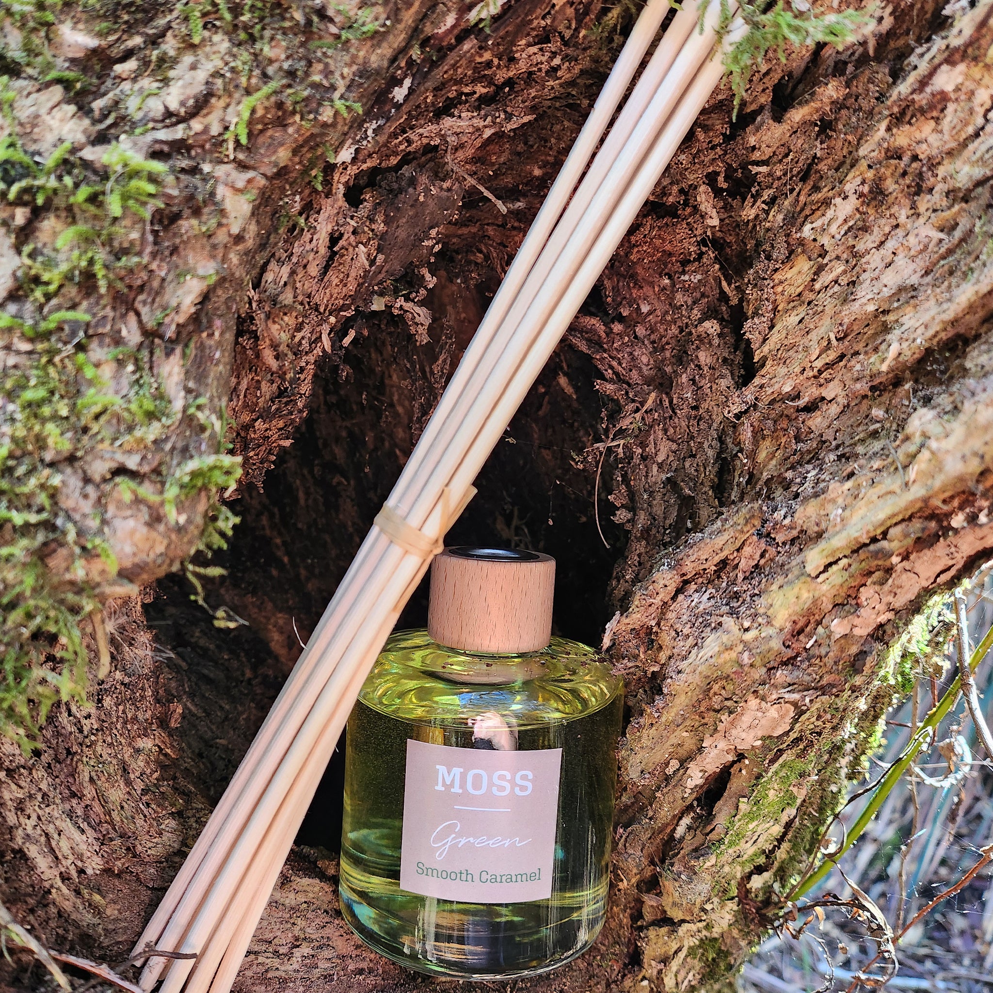 Smooth Caramel Diffuser – MOSS Green
