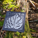 Cards - Monstera Leaf D1 Black White