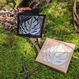 Cards - Monstera Leaf D1 Black White