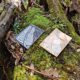 Cards - Tasmanian Fern Frong D2 Brown White