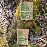 Cards - Tasmanian Fern Frong D2 Brown Green