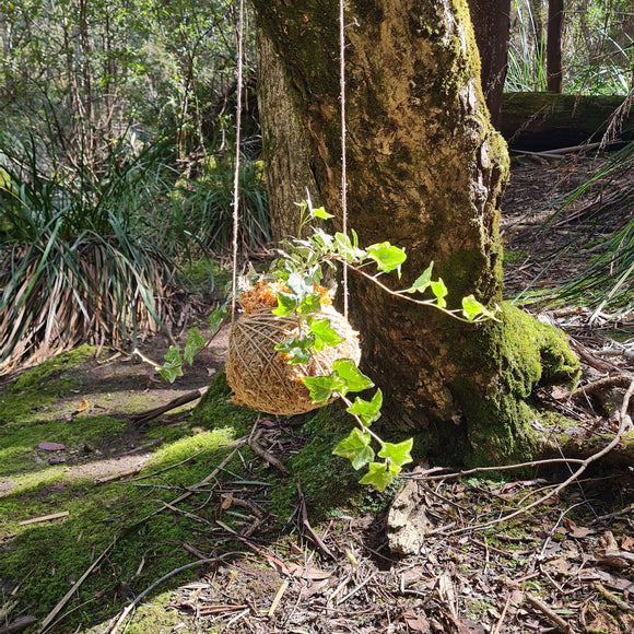 Kokedama