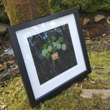 Cross Stitch - Framed D1 (Large)